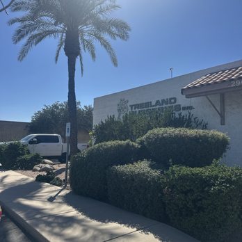 Treeland Nurseries - Nurseries & Gardening Near Me - Mesa, Arizona