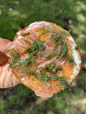 Apollo Bagels by null