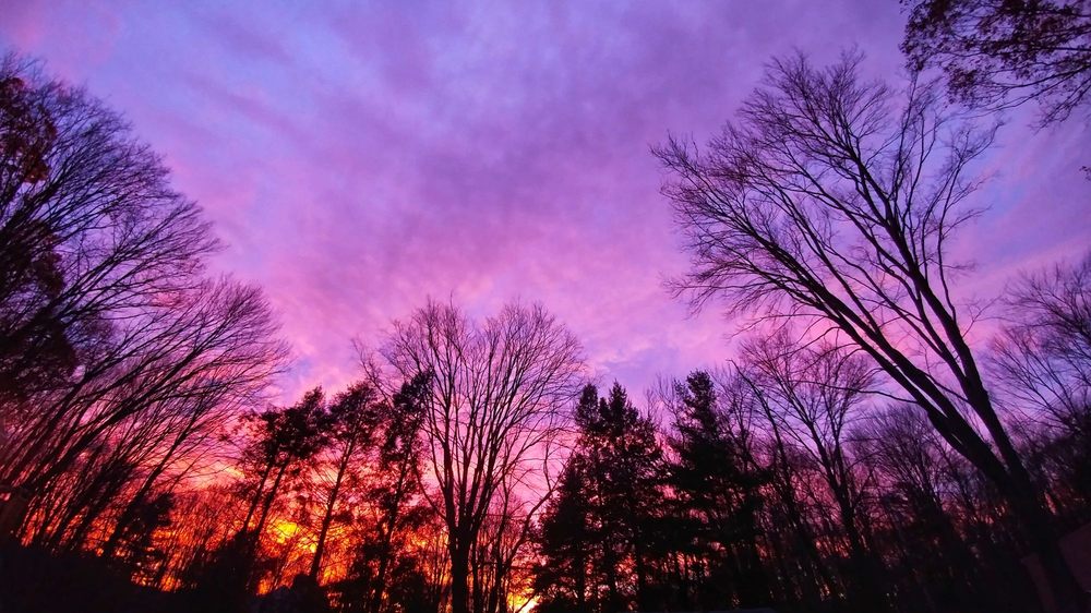 TOWN OF WALLINGFORD CONNECTICUT 98 Photos 45 South Main St