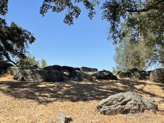 Maidu Museum & Historic Site by null