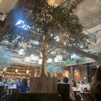 Aba - Dining Area - Mediterranean Near Me - Chicago, Illinois Aba - Dining Area - Mediterranean Near Me - Chicago, Illinois