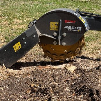Warner's Pro Tree Service - My stump grinder - Tree Services Near Me Warner's Pro Tree Service - My stump grinder - Tree Services Near Me