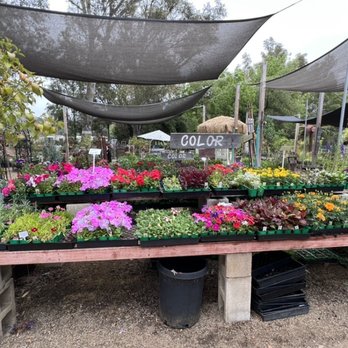 Valley Center Nursery - Nurseries & Gardening Near Me - Valley Center, California