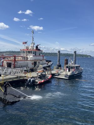 Premier Meat Pies by null