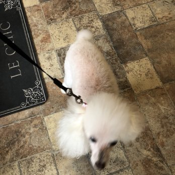 Happy Paws & Spa - Pet Groomers Near Me - Staten Island, New York Happy Paws & Spa - Pet Groomers Near Me - Staten Island, New York