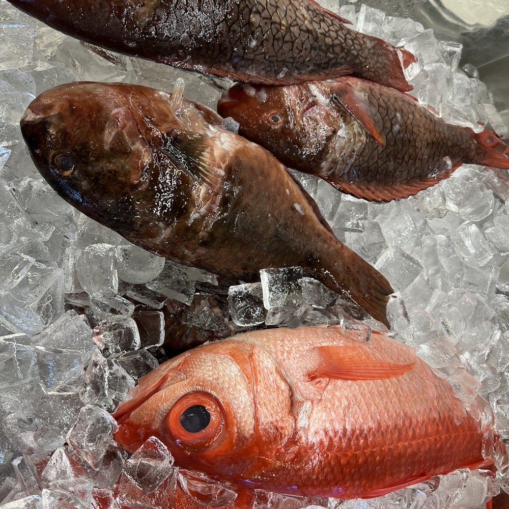 Lobster King - Very fresh fish- uhu (top) and kumu (bottom). The uhu we ordered was 1.5lb and $39/lb. - Seafood Near Me - Honolulu, Hawaii