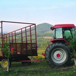 Maylath Farm and Orchard - Hayride to the pumpkin patch