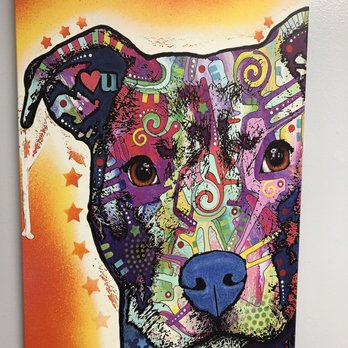 Largo Veterinary Hospital - Veterinarians Near Me - Largo, Florida