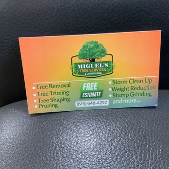 Miguel's Tree Services - Licenses and  insurance - Tree Services Near Me
