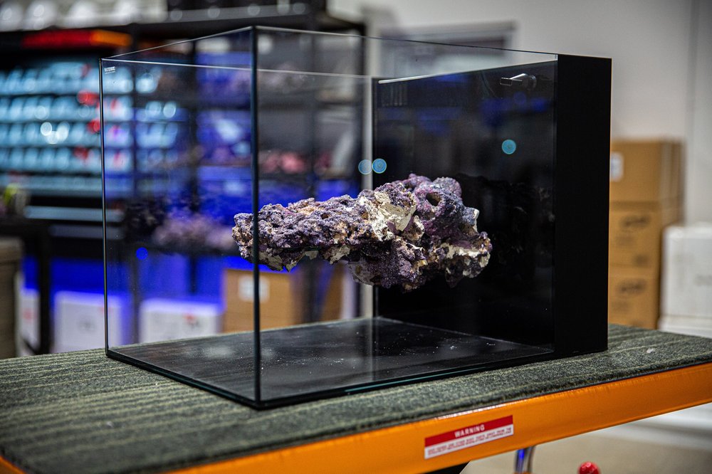 BESPOKE AQUARIUMS 2/32 Third Ave, Blacktown New South Wales