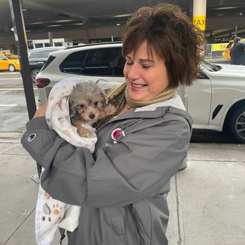 Fuzzy Fur Babies Flight Nanny - Pet Transportation Near Me - Detroit, Michigan Fuzzy Fur Babies Flight Nanny - Pet Transportation Near Me - Detroit, Michigan