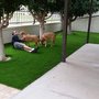 Photo of Go Artificial Green