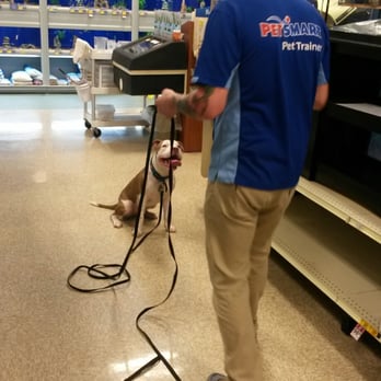 PetSmart - Marcus with our dog Mator on the day of training when we discovered that our dog has a learning disability (Autism) - Pet Groomers Near Me - Mililani, Hawaii PetSmart - Marcus with our dog Mator on the day of training when we discovered that our dog has a learning disability (Autism) - Pet Groomers Near Me - Mililani, Hawaii