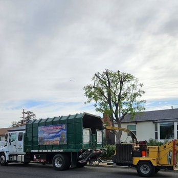 Pineda's Tree Care - Tree Services Near Me Pineda's Tree Care - Tree Services Near Me