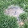 Photo of Splash Irrigation