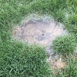 Splash Irrigation - This is how he left my lawn!