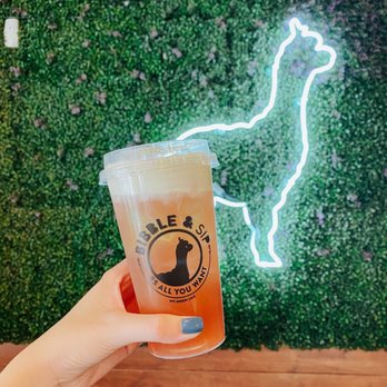 Bibble & Sip - Coffee & Tea Near Me - New York, New York Bibble & Sip - Coffee & Tea Near Me - New York, New York