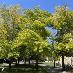 Sonoma State University - 6/2023