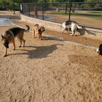 Karma Dog Training - Pet Training Near Me Karma Dog Training - Pet Training Near Me
