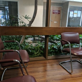 Allergy & Asthma Consultants PC - I sit by the window and work while I get my allergy shots. They need more comfortable chairs... - Doctors Near Me - Saint Louis, Missouri