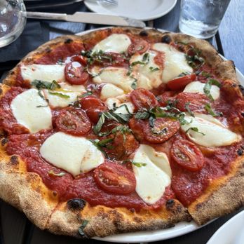 Napoli Kirkwood - Margherita Pizza - Italian Near Me - Kirkwood, Missouri Napoli Kirkwood - Margherita Pizza - Italian Near Me - Kirkwood, Missouri
