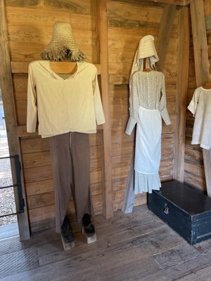 Oak Alley Plantation by null