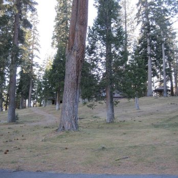 Sugar Pine Point State Park - Trees - Parks Near Me - Meeks Bay, California