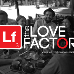 The Love Factor - The Love Factor