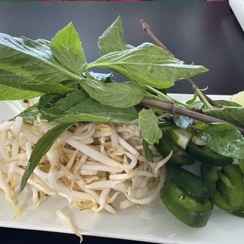Pho Saigon - Veggie for two - Noodles Near Me - Oklahoma City, Oklahoma Pho Saigon - Veggie for two - Noodles Near Me - Oklahoma City, Oklahoma
