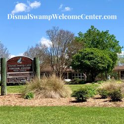 Dismal Swamp Canal Welcome Center - View from 150' boat dockage back at the DSWC and Rest Area