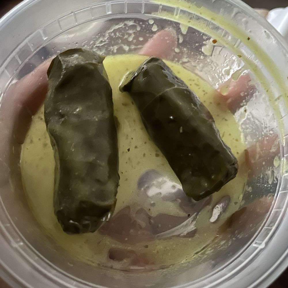 Alpha Gyro Grill - Stuffed Grape Leaves - yummy! - Mediterranean Near Me - Gainesville, Georgia Alpha Gyro Grill - Stuffed Grape Leaves - yummy! - Mediterranean Near Me - Gainesville, Georgia