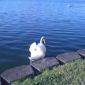Lake Eola Park - Parks Near Me - Orlando, Florida