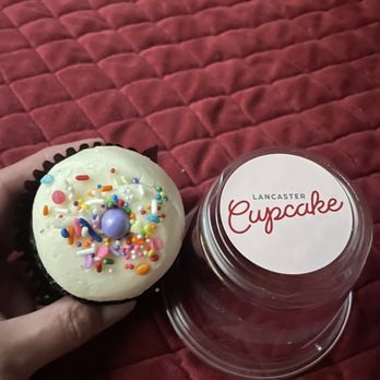 Lancaster Cupcake - Chocolate cupcake with vanilla frosting - A cupcake with white frosting topped with multicolored sprinkles and a purple candy is held in a person's hand. The cupcake is in a dark paper liner. Next to it is a clear plastic container with a white label that reads Lancaster Cupcake. The background features a red, quilted fabric surface. - Cupcakes Near Me - Lancaster, Pennsylvania
