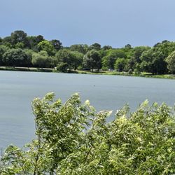 Lake Mayer Park - Scenery on my walk