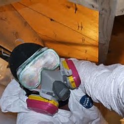 Insulation Worx - Crawl Space Inspection