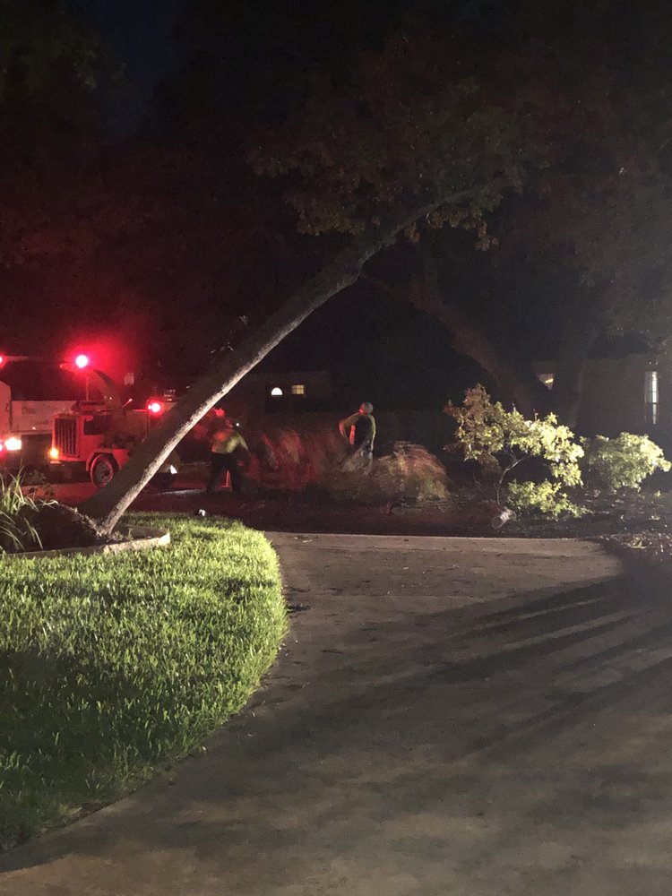 CLEAN SCAPES LANDSCAPING Updated August 2024 4800 W Howard Ln