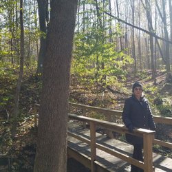 Black River Preserve - Quiet Bridge