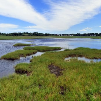 Belle Isle Marsh Reservation - Parks Near Me - Boston, Massachusetts Belle Isle Marsh Reservation - Parks Near Me - Boston, Massachusetts