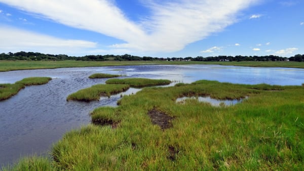 Belle Isle Marsh Reservation by null
