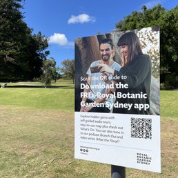 An app An app