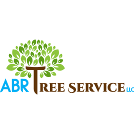 ABR Tree Service - tree service in Millersville, MD