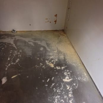 Starbucks - Bottom of a fridge where all the milk is kept. this is solidified milk - Coffee & Tea Near Me - Charlotte, North Carolina Starbucks - Bottom of a fridge where all the milk is kept. this is solidified milk - Coffee & Tea Near Me - Charlotte, North Carolina