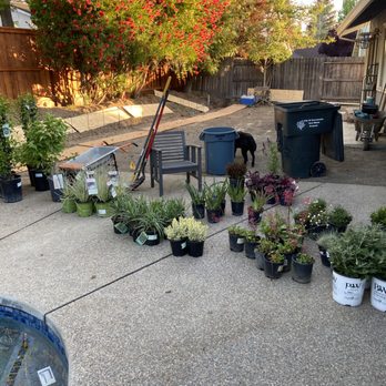 TLC Landscape Services - Landscaping Near Me TLC Landscape Services - Landscaping Near Me