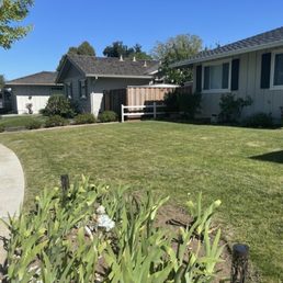 Before Heavenly Green install