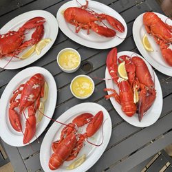 Parsons Lobsters - Live lobsters we cooked
