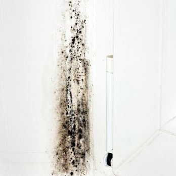 Green Home Solutions - Damage Restoration Near Me Green Home Solutions - Damage Restoration Near Me