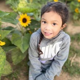 My babygirl at their sunflower field. My babygirl at their sunflower field.