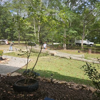 Green Tree Service - Tree Services Near Me - Griffin, Georgia