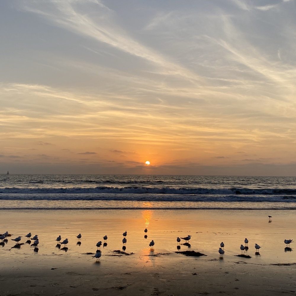 Manhattan Beach - Manhattan beach - Beaches Near Me - Manhattan Beach, California Manhattan Beach - Manhattan beach - Beaches Near Me - Manhattan Beach, California