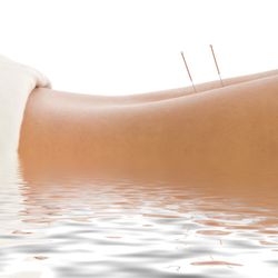 Dharma Clinic-Acupuncture and Natural Healthcare